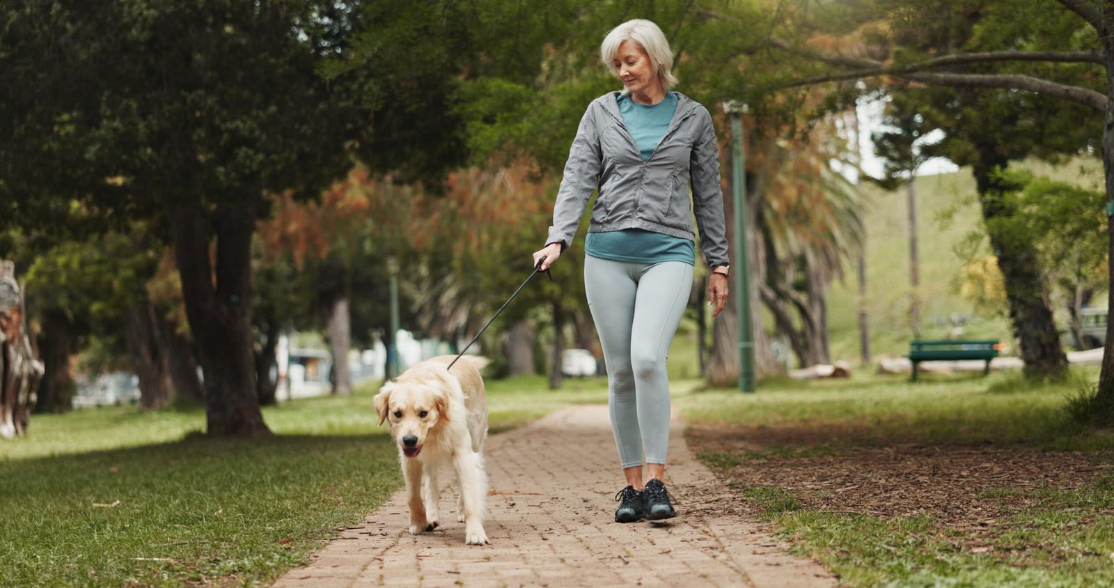 Blogging Niches for Retirees side hustle